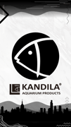 Kandila official