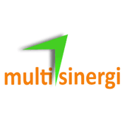 CV Multi Sinergi