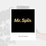 PT Mister Spin Indonesia